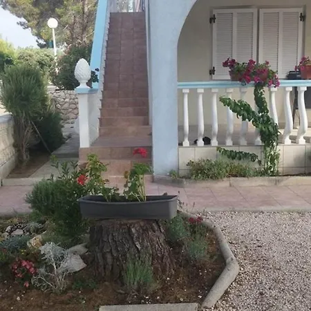 Zelic Guest house *