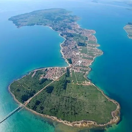 Zelic Guest house